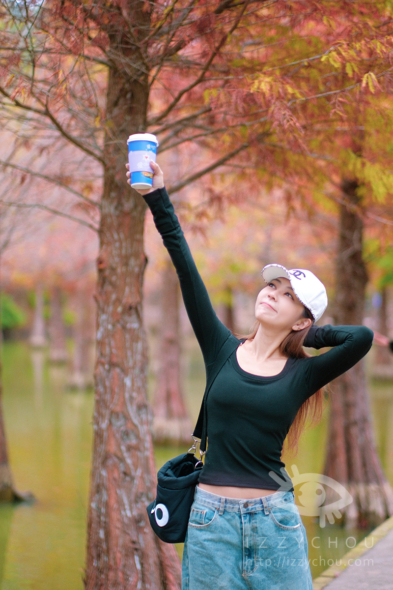 苗栗三灣落羽松莊園｜免費入場，周圍停車與內部環境資訊整理，輕鬆觀賞落雨松