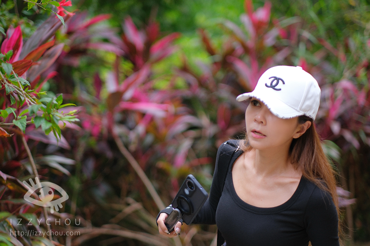 苗栗三灣落羽松莊園｜免費入場，周圍停車與內部環境資訊整理，輕鬆觀賞落雨松