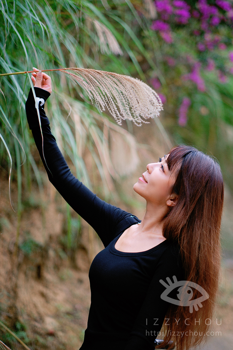 苗栗三灣落羽松莊園｜免費入場，周圍停車與內部環境資訊整理，輕鬆觀賞落雨松