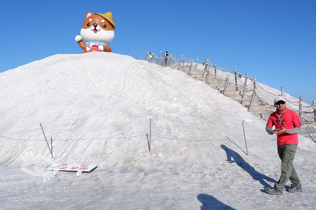 【2026台南景點】七股鹽dog dog主題展,鹽山變身「柴犬雪山」、DIY體驗走春攻略 - 第4張圖 【2026台南景點】七股鹽dog dog主題展,鹽山變身「柴犬雪山」、DIY體驗走春攻略