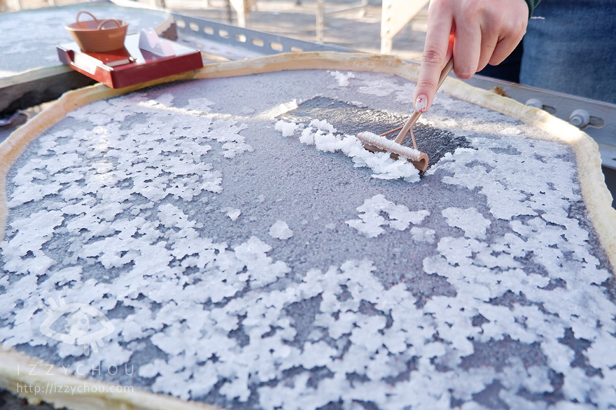 【2026台南景點】七股鹽dog dog主題展,鹽山變身「柴犬雪山」、DIY體驗走春攻略 - 第43張圖 【2026台南景點】七股鹽dog dog主題展,鹽山變身「柴犬雪山」、DIY體驗走春攻略