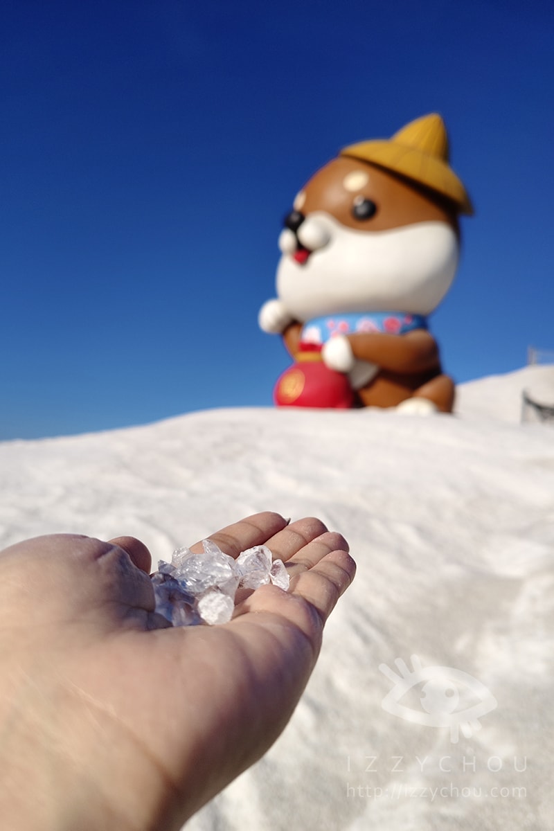【2026台南景點】七股鹽dog dog主題展,鹽山變身「柴犬雪山」、DIY體驗走春攻略 - 第10張圖 【2026台南景點】七股鹽dog dog主題展,鹽山變身「柴犬雪山」、DIY體驗走春攻略