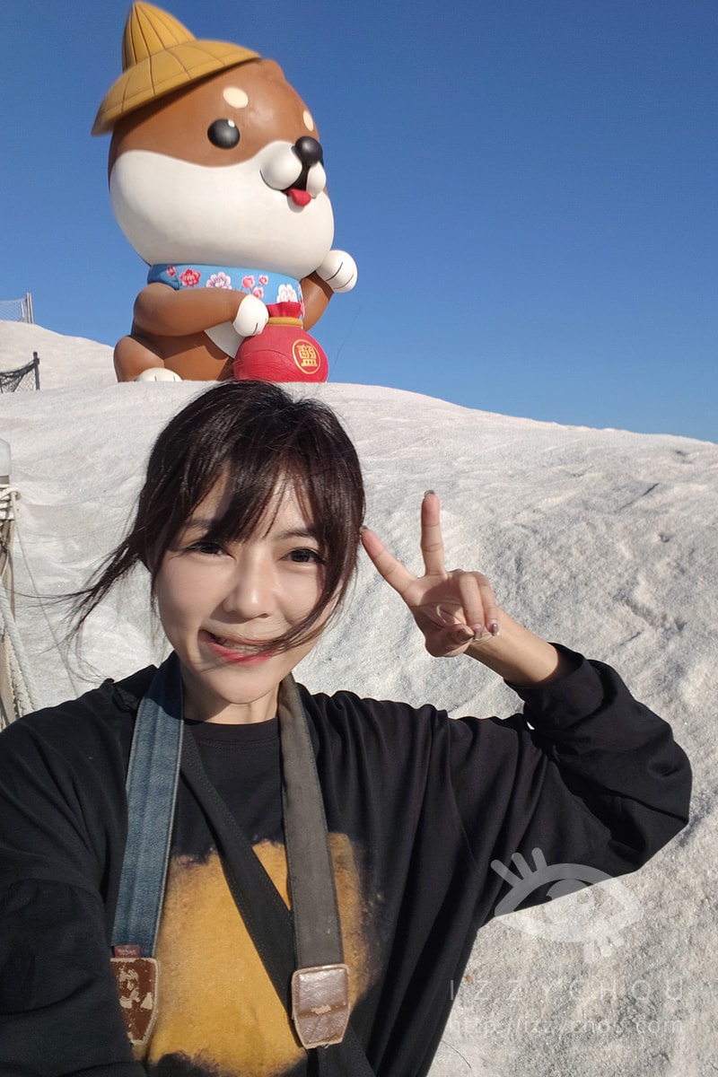 【2026台南景點】七股鹽dog dog主題展,鹽山變身「柴犬雪山」、DIY體驗走春攻略 - 第14張圖 【2026台南景點】七股鹽dog dog主題展,鹽山變身「柴犬雪山」、DIY體驗走春攻略