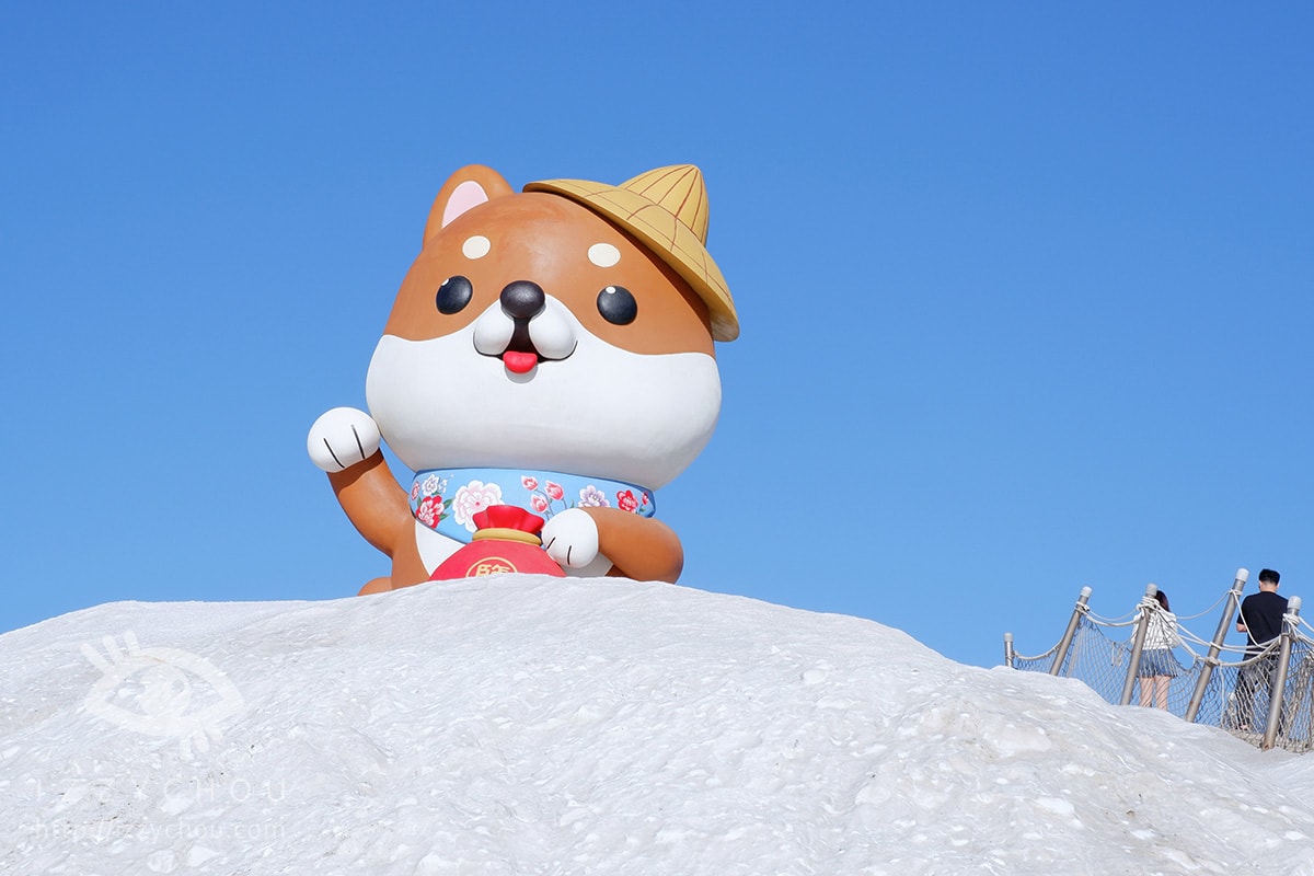【2026台南景點】七股鹽dog dog主題展,鹽山變身「柴犬雪山」、DIY體驗走春攻略 - 第12張圖 【2026台南景點】七股鹽dog dog主題展,鹽山變身「柴犬雪山」、DIY體驗走春攻略