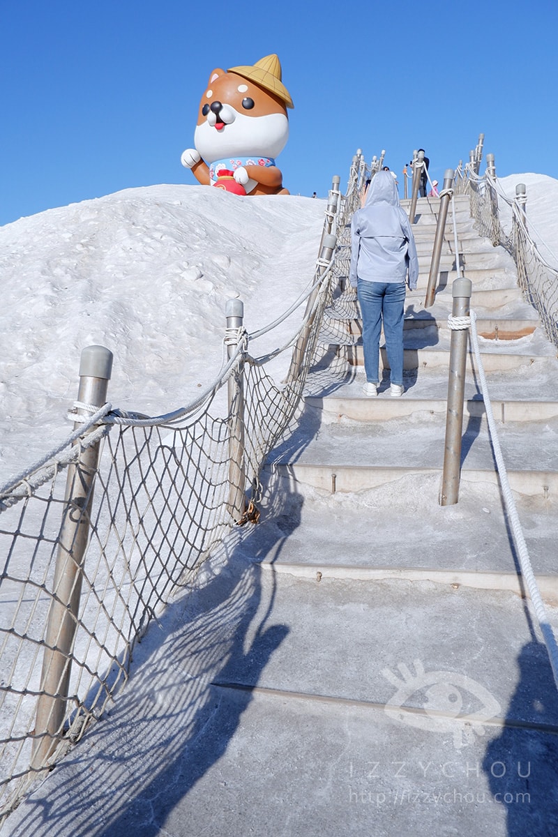 【2026台南景點】七股鹽dog dog主題展,鹽山變身「柴犬雪山」、DIY體驗走春攻略 - 第5張圖 【2026台南景點】七股鹽dog dog主題展,鹽山變身「柴犬雪山」、DIY體驗走春攻略
