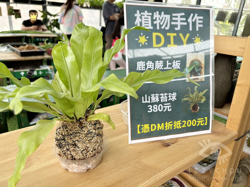 18間宜蘭親子農場推薦｜餵水豚、梅花鹿、羊駝，DIY、雨天備案總整理