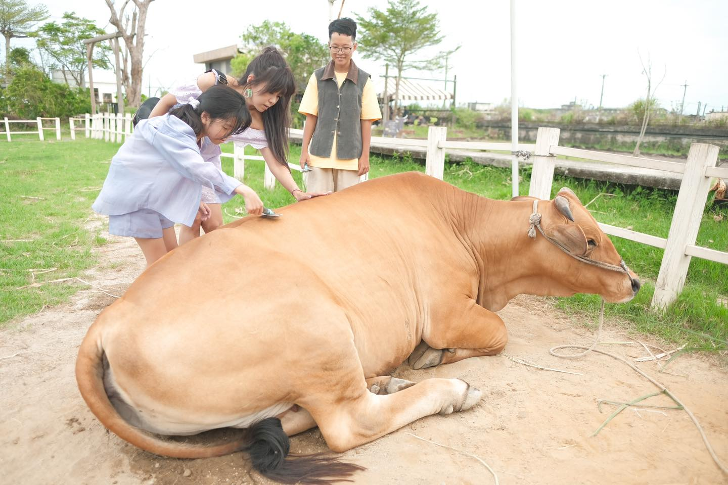 18間宜蘭親子農場推薦｜餵水豚、梅花鹿、羊駝，DIY、雨天備案總整理