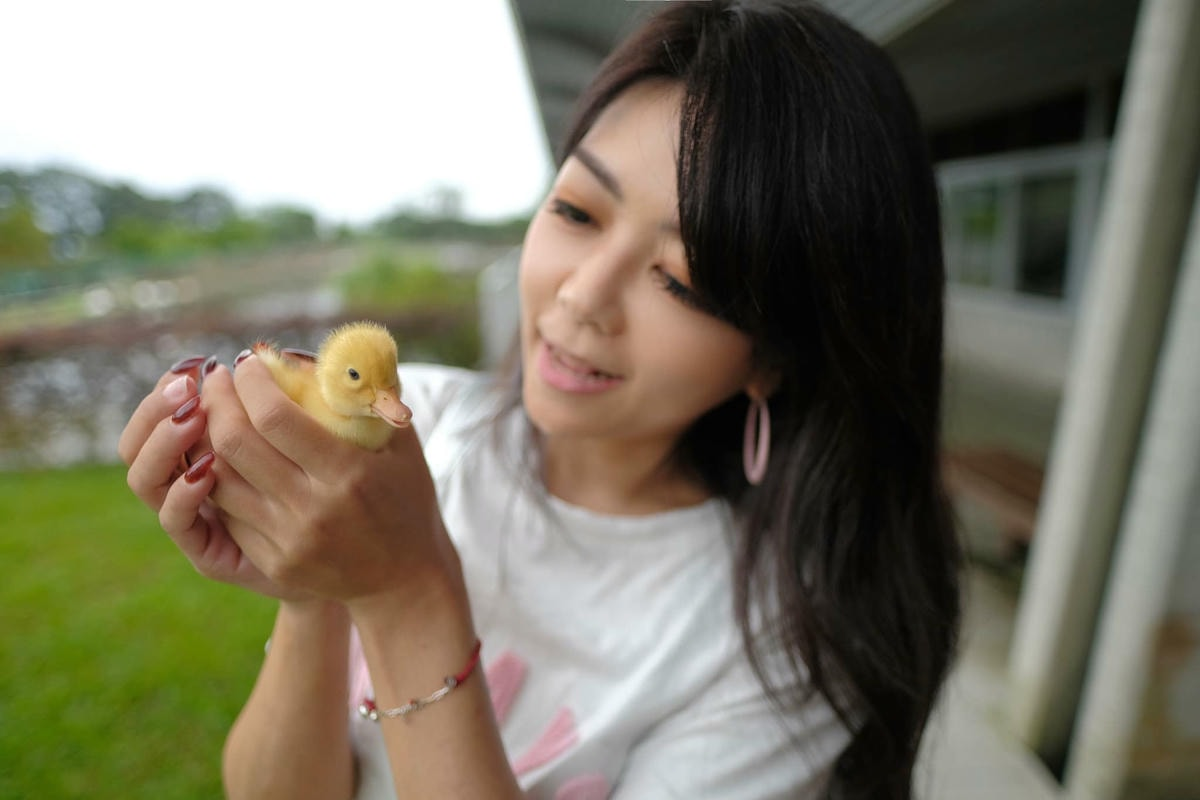 18間宜蘭親子農場推薦｜餵水豚、梅花鹿、羊駝，DIY、雨天備案總整理