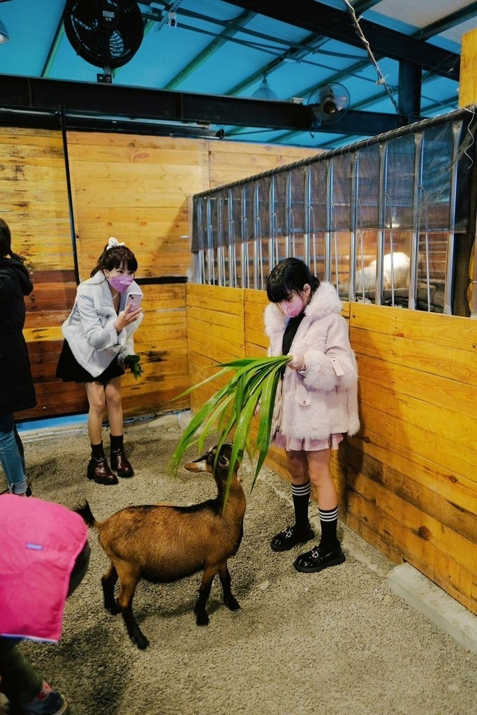 18間宜蘭親子農場推薦｜餵水豚、梅花鹿、羊駝，DIY、雨天備案總整理