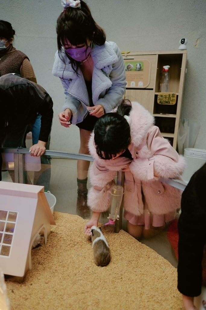 18間宜蘭親子農場推薦｜餵水豚、梅花鹿、羊駝，DIY、雨天備案總整理