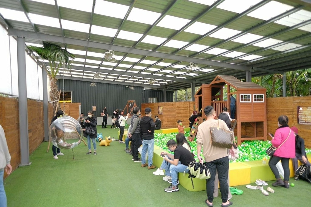 18間宜蘭親子農場推薦｜餵水豚、梅花鹿、羊駝，DIY、雨天備案總整理