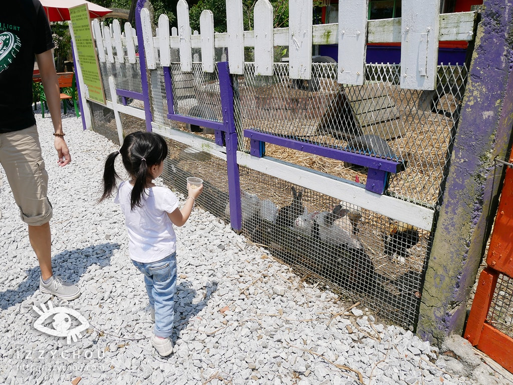 18間宜蘭親子農場推薦｜餵水豚、梅花鹿、羊駝，DIY、雨天備案總整理