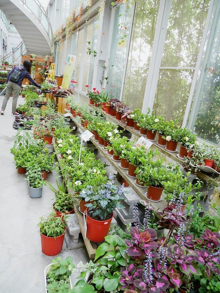 18間宜蘭親子農場推薦｜餵水豚、梅花鹿、羊駝，DIY、雨天備案總整理