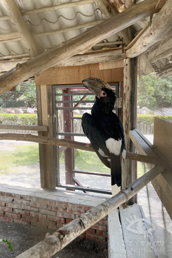 頑皮世界野生動物園