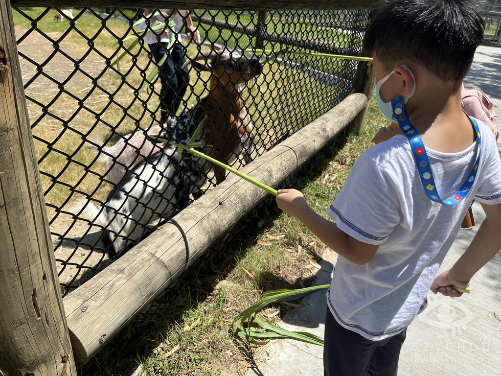 頑皮世界野生動物園