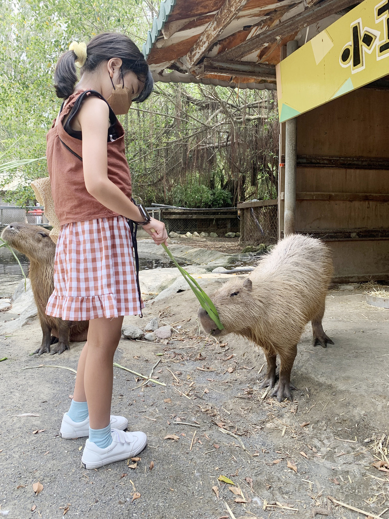 頑皮世界野生動物園