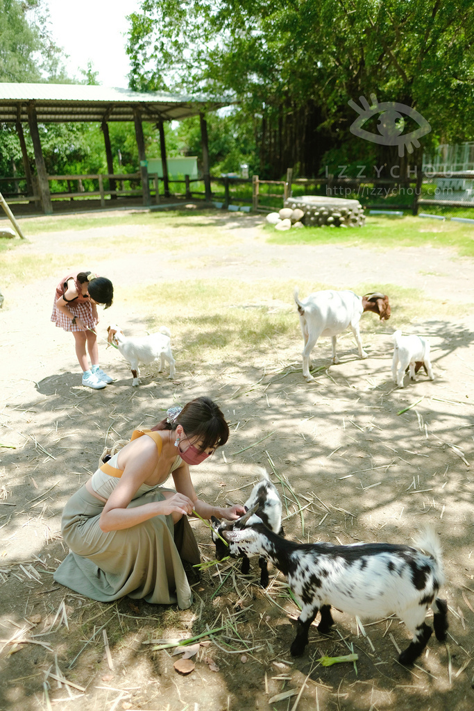 頑皮世界野生動物園