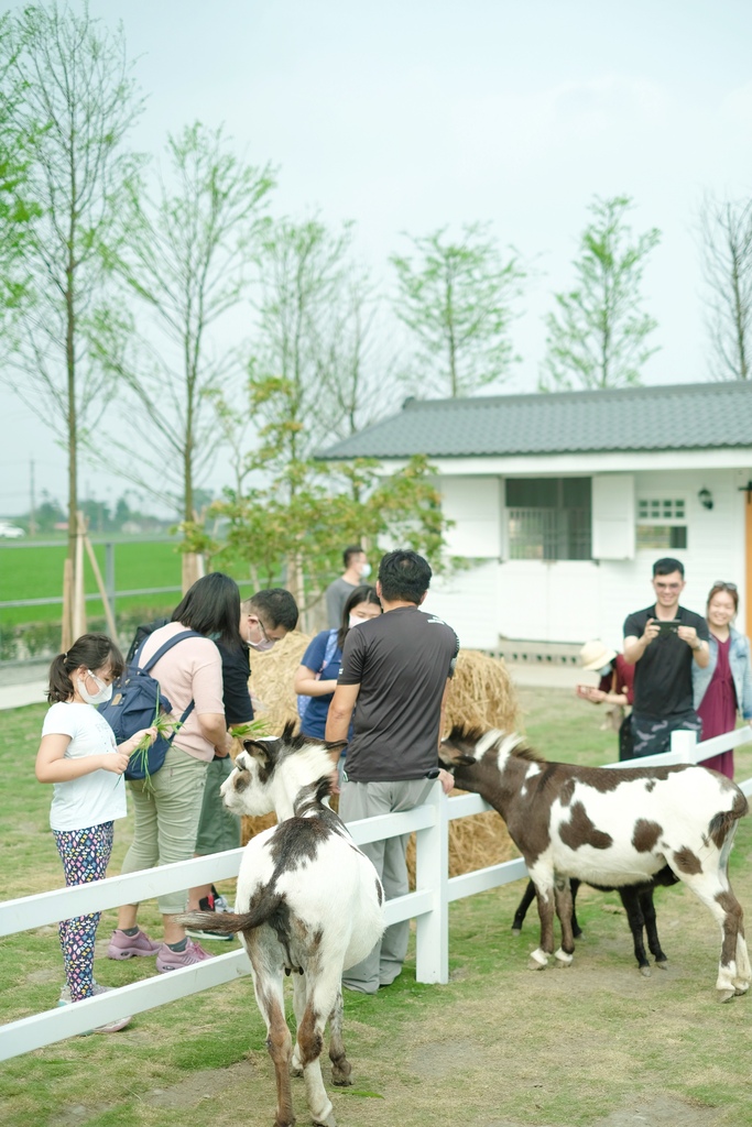 宜蘭三星親子農場 星寶l鄉間小路 餵鹿 蔥油餅