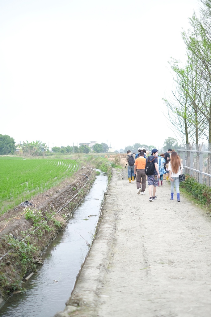 宜蘭三星親子農場 星寶l鄉間小路 餵鹿 蔥油餅