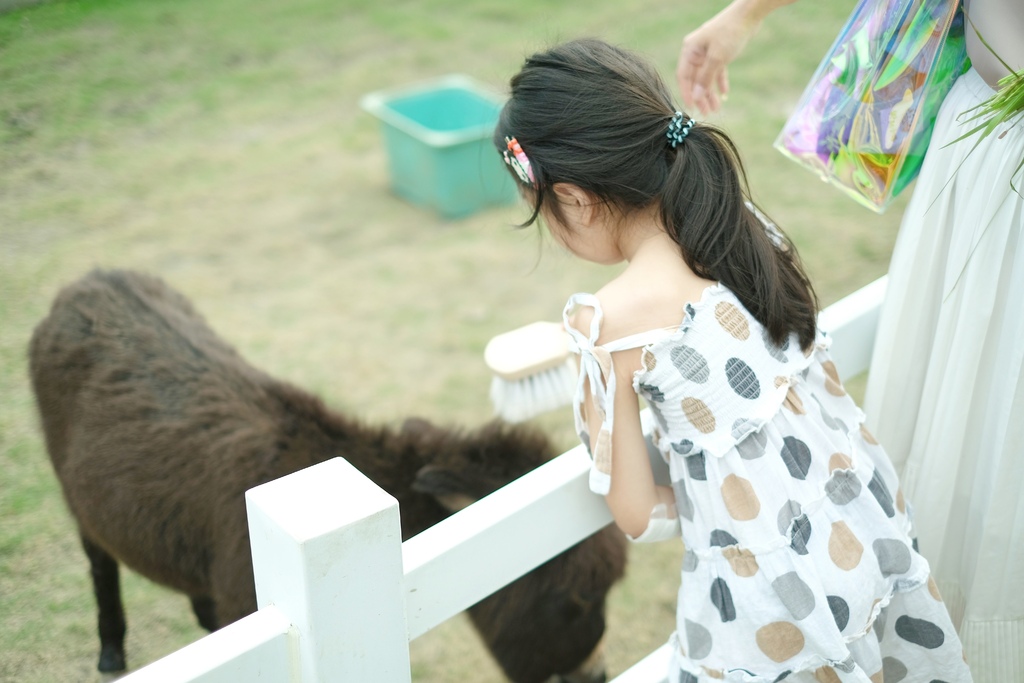 宜蘭三星親子農場 星寶l鄉間小路 餵鹿 蔥油餅