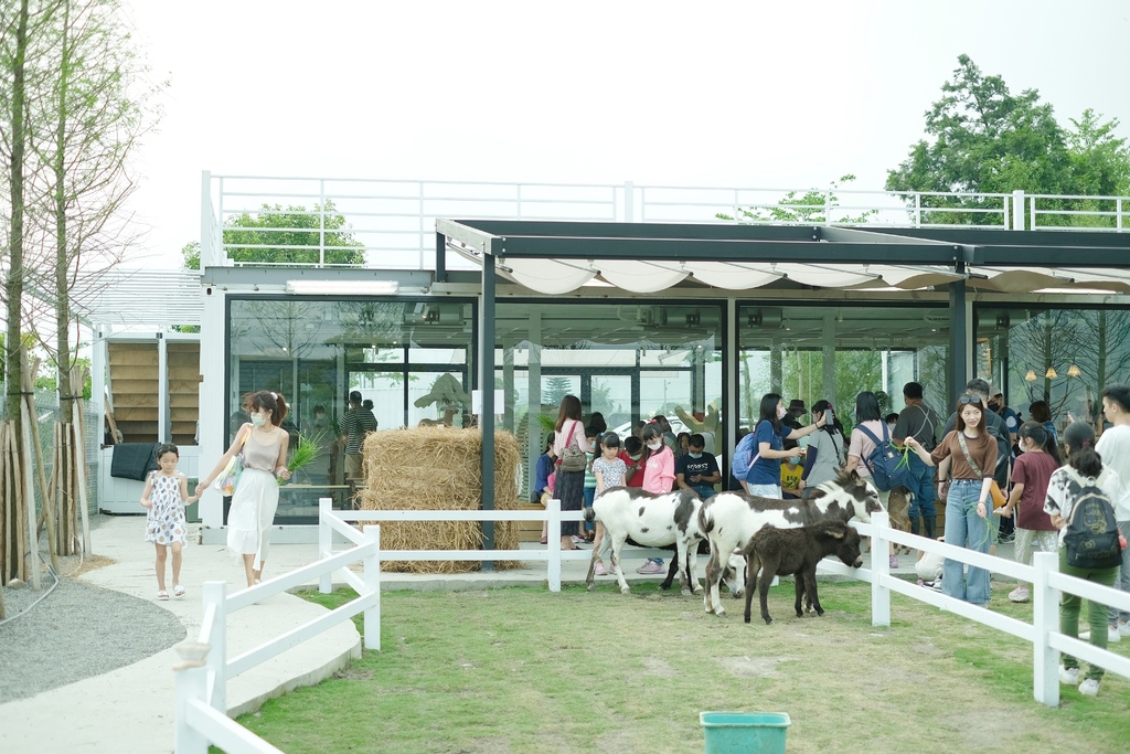 宜蘭三星親子農場 星寶l鄉間小路 餵鹿 蔥油餅