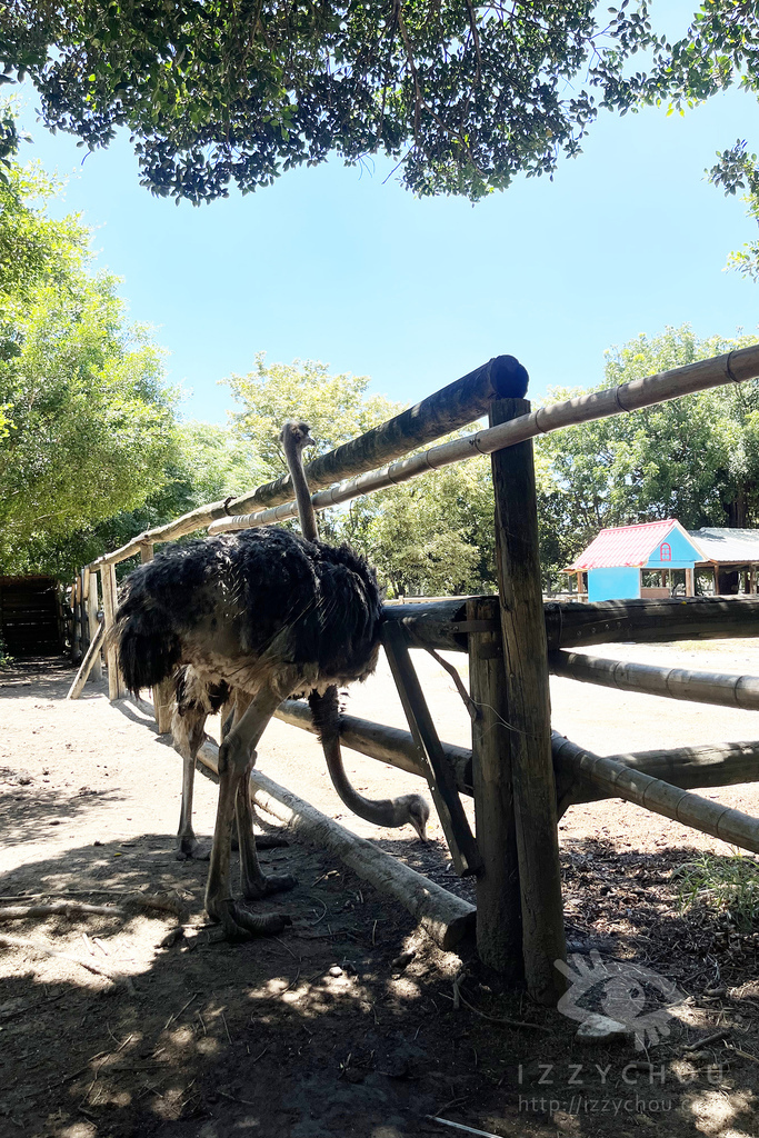 頑皮世界野生動物園