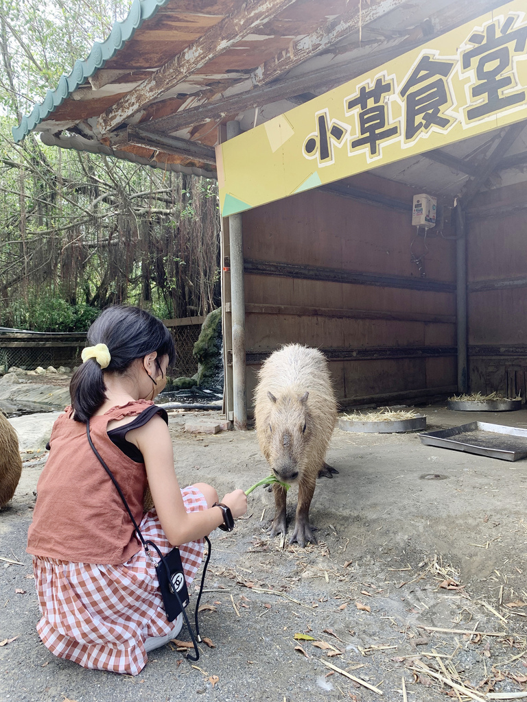 頑皮世界野生動物園