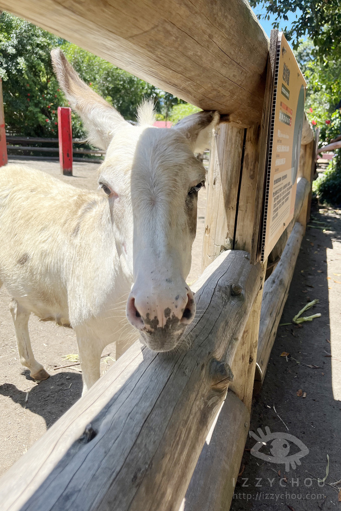 頑皮世界野生動物園