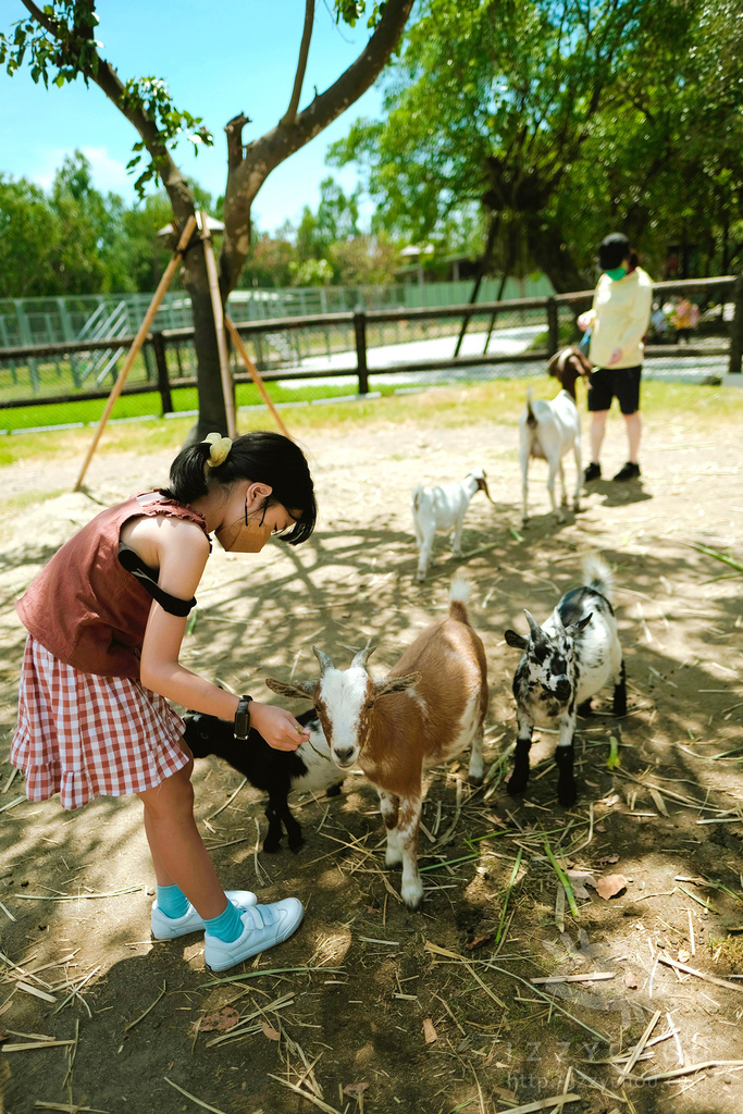 頑皮世界野生動物園