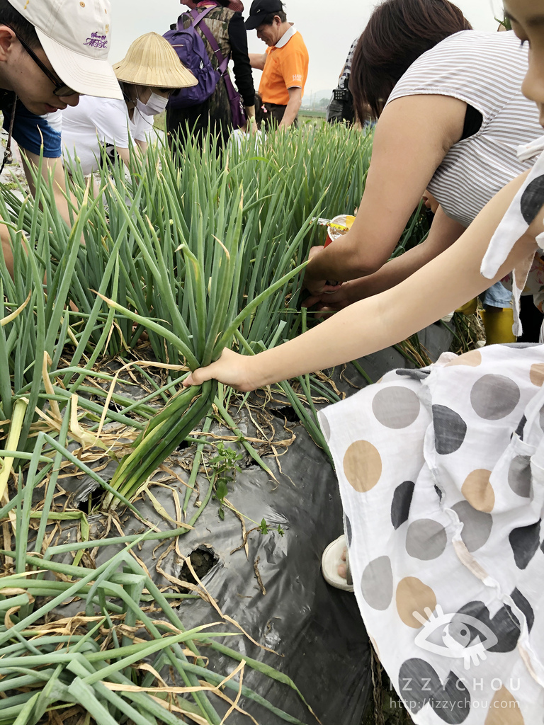 宜蘭三星親子農場 星寶l鄉間小路 餵鹿 蔥油餅