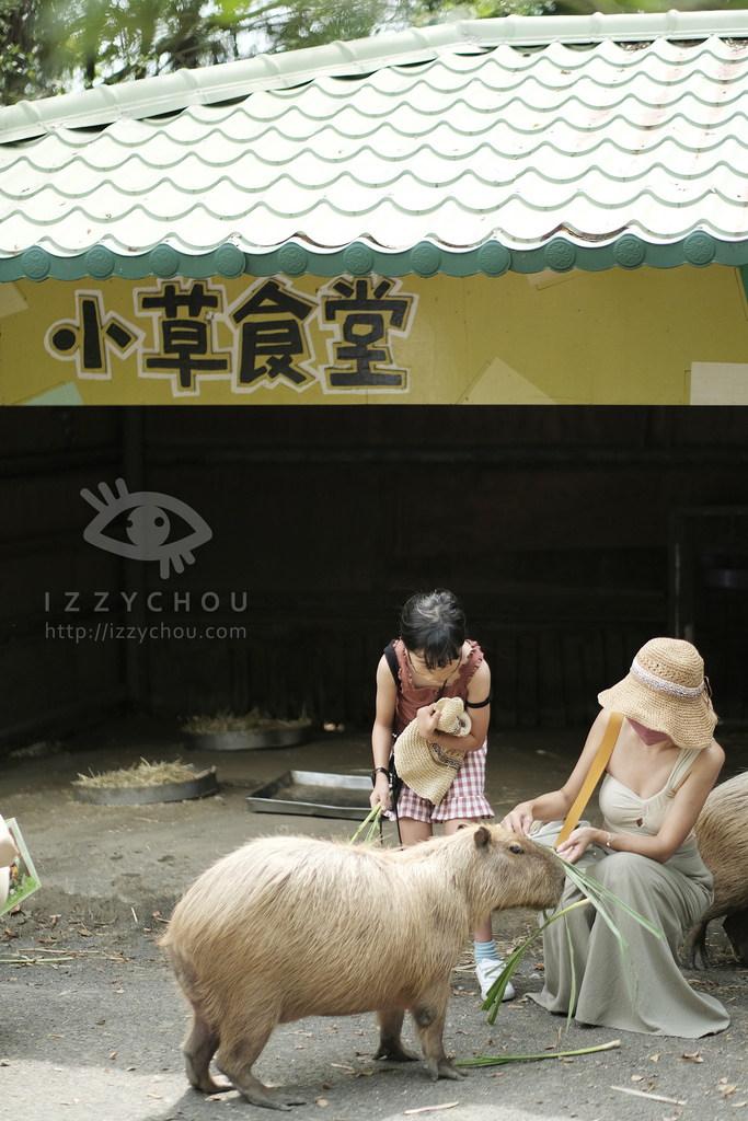 頑皮世界野生動物園